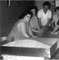 perola-da-ilha-novos-produtos